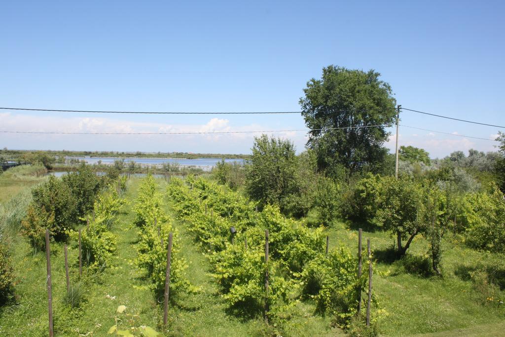 Tenuta Lio Maggiore Lido di Jesolo Esterno foto