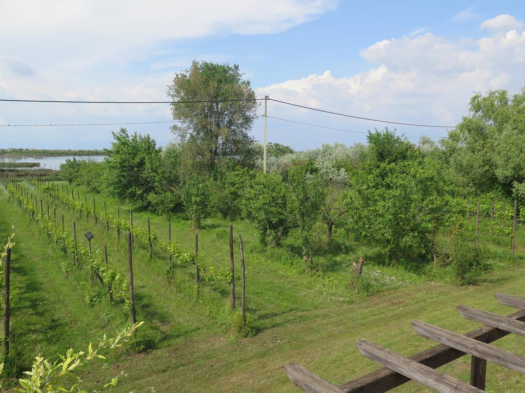 Tenuta Lio Maggiore Lido di Jesolo Esterno foto